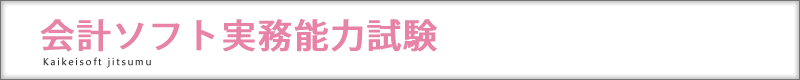 会計ソフト実務能力試験