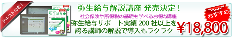 弥生給与解説おすすめ