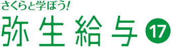 弥生会計テキストの決定版！本当にわかるテキストはこれ！『さくらと学ぼう！弥生給与17』